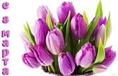 Открытка с 8 марта, тюльпаны
