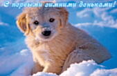 Открытка с первыми зимними деньками, животные, собака и снег