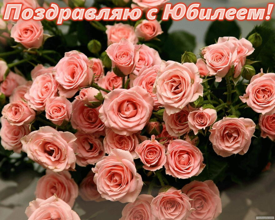 Открытка Поздравляю с юбилеем, цветы, розы