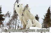 Открытка поздравляю с днём матери, белые медведи