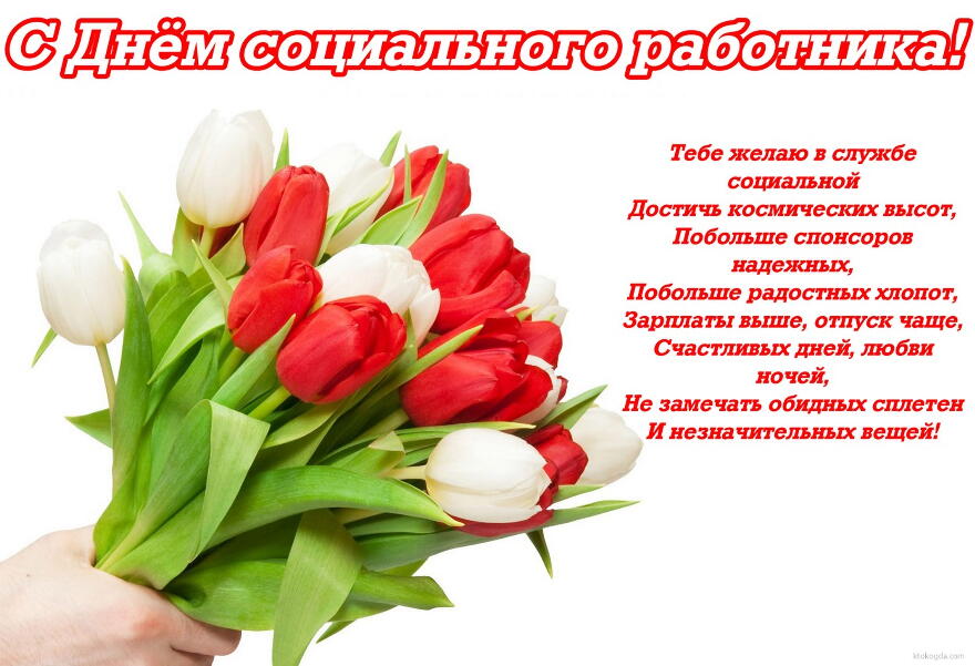 Открытка с Днем социального работника с пожеланием, цветы, тюльпаны