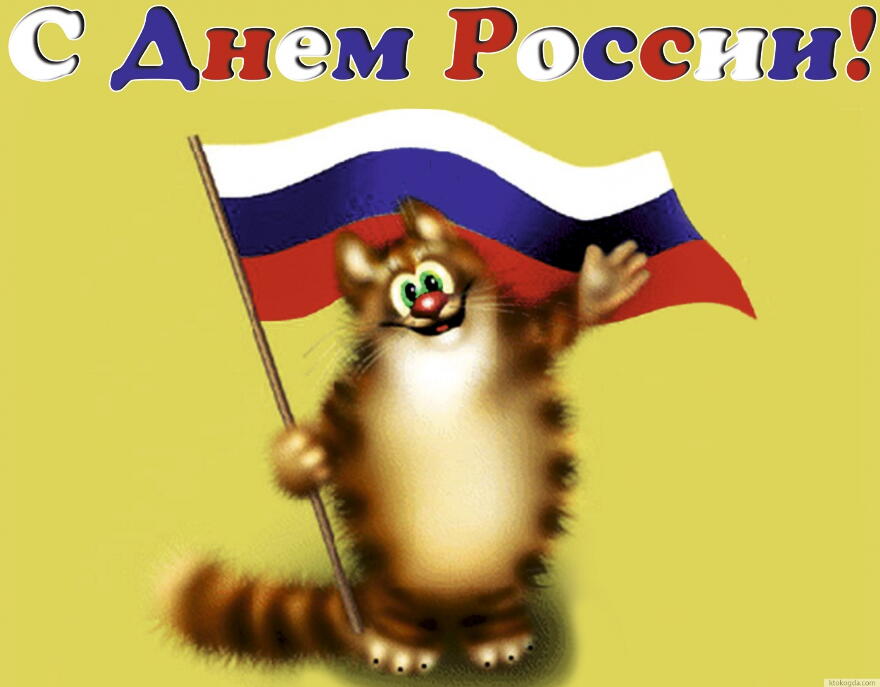 Открытка с Днем России прикольная, кот с российским флагом