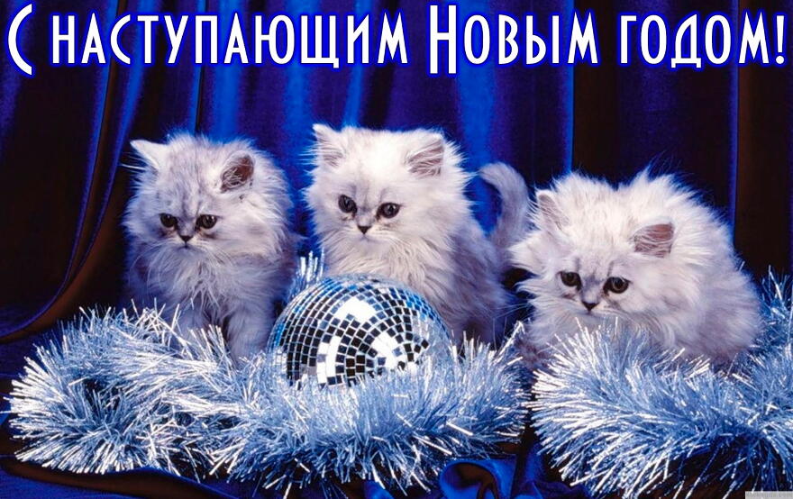 Открытка с наступающим Новым годом, животные, котята и елочные игрушки