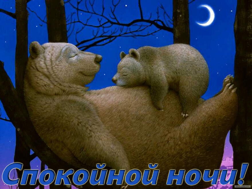 Открытка спокойной ночи, спящие медведи