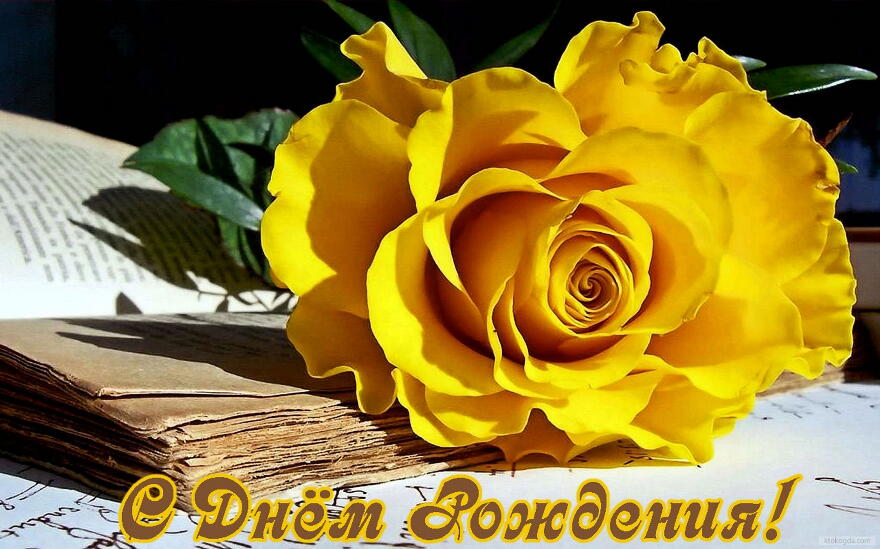 Открытка с Днем Рождения, цветы, желтая роза
